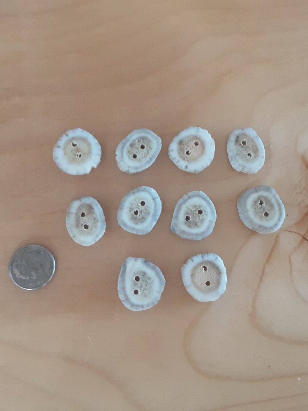 Set of 10 Handcrafted Authentic Mule Deer Antler Buttons